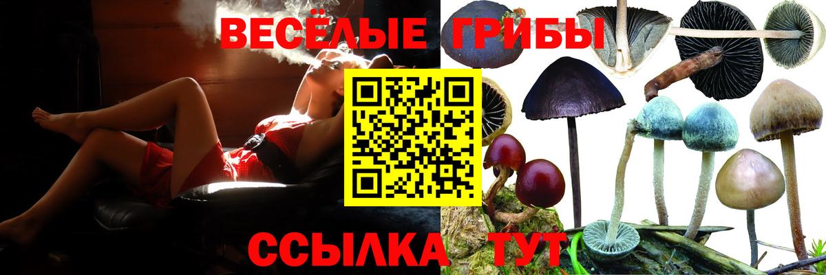 где купить наркоту  Вход с VPN  Магнитогорск  Галлюциногенные грибы ЛСД 